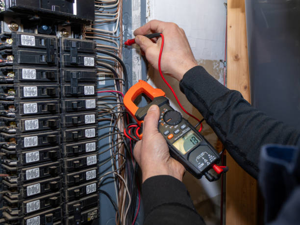 Best Electrician for Home Renovation  in Hamburg, NJ